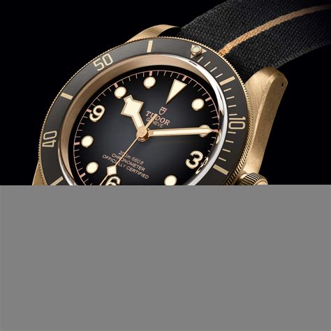 tudor black bay p01 chrono24